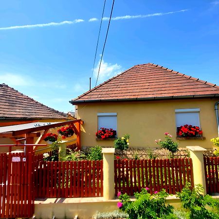 Apartmán Kata Vendeghaz Sátoraljaújhely Exteriér fotografie